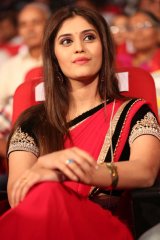 Express Raja Audio Launch